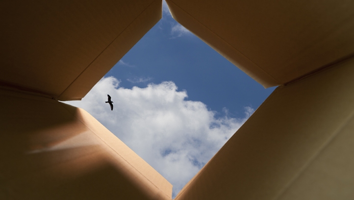 Thinking outside the box: going circular